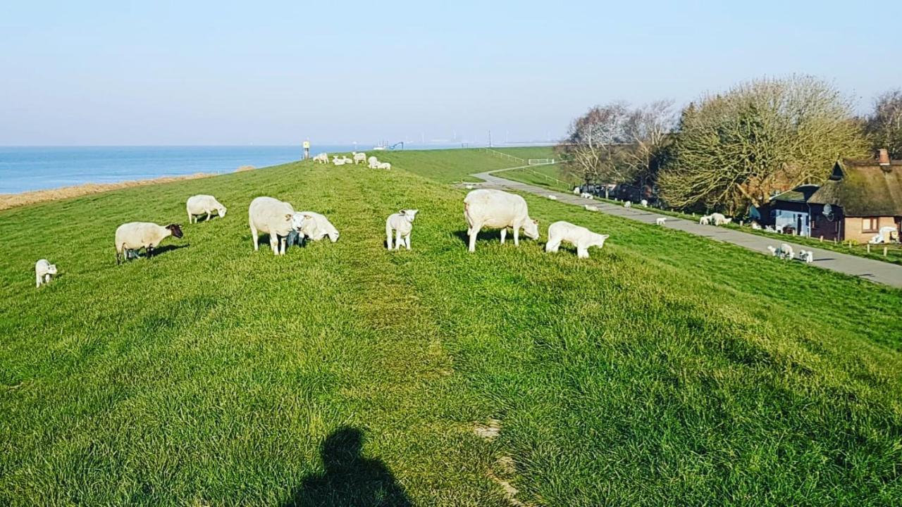 Richters Deich-Oase Brokdorf Exterior foto